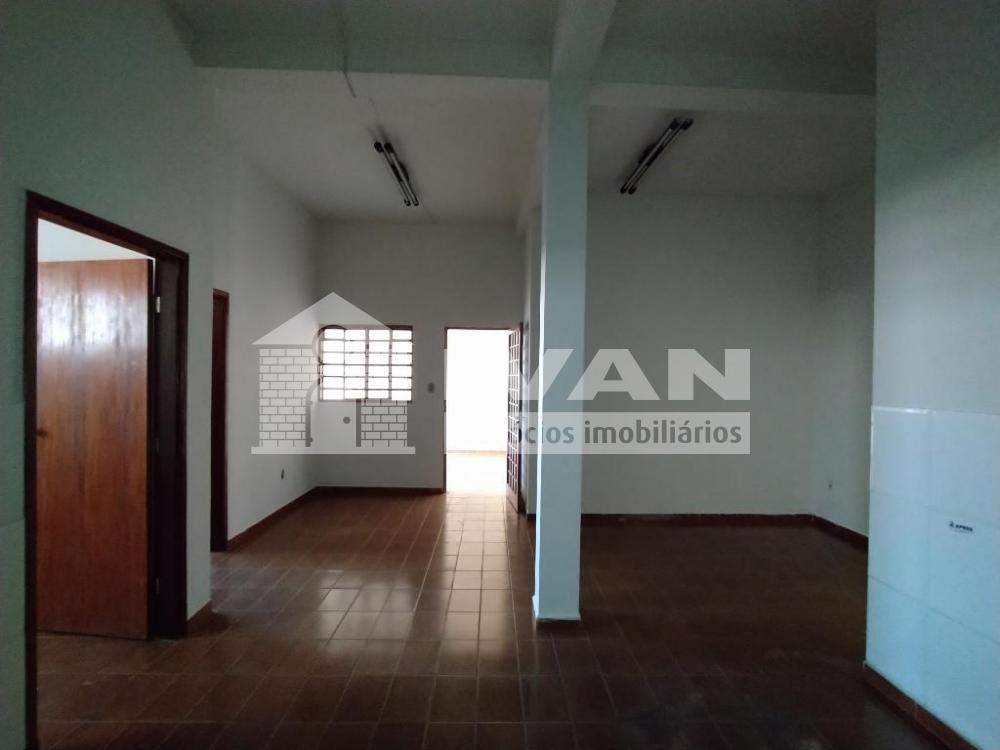 Alugar Casa / Colônia em Uberlândia R$ 950,00 - Foto 19