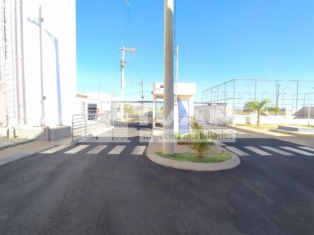 Alugar Apartamento / Padrão em Uberlândia R$ 1.200,00 - Foto 5