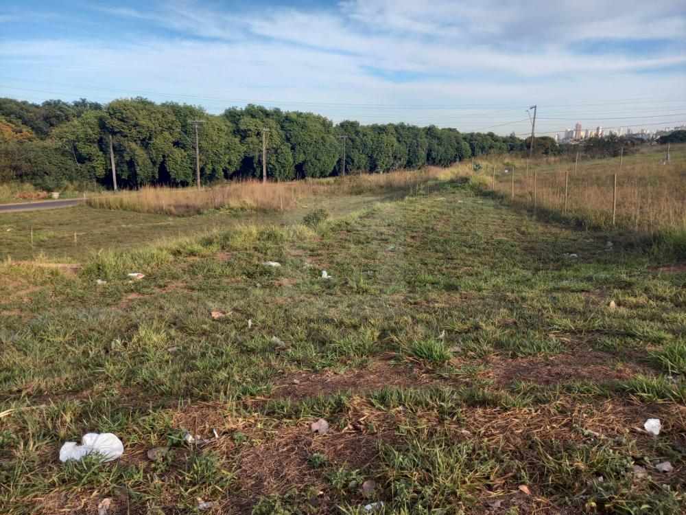 Comprar Terreno / Padrão em Uberlândia R$ 350.000,00 - Foto 1