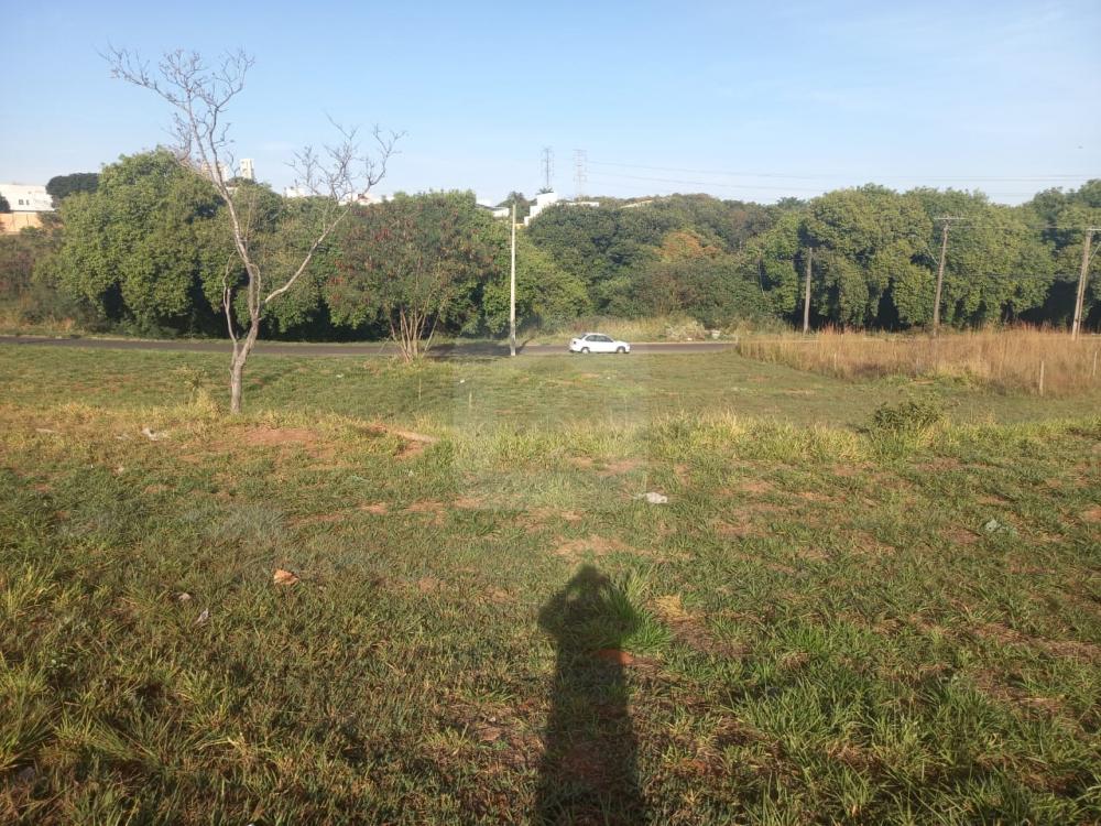 Comprar Terreno / Padrão em Uberlândia R$ 350.000,00 - Foto 2