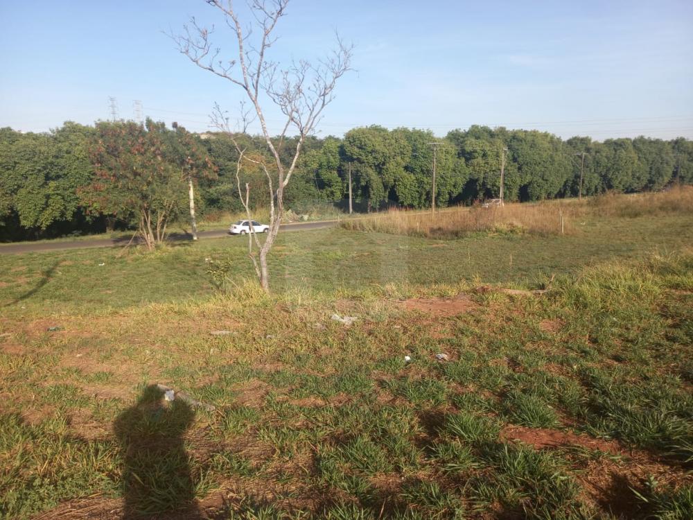 Comprar Terreno / Padrão em Uberlândia R$ 350.000,00 - Foto 3