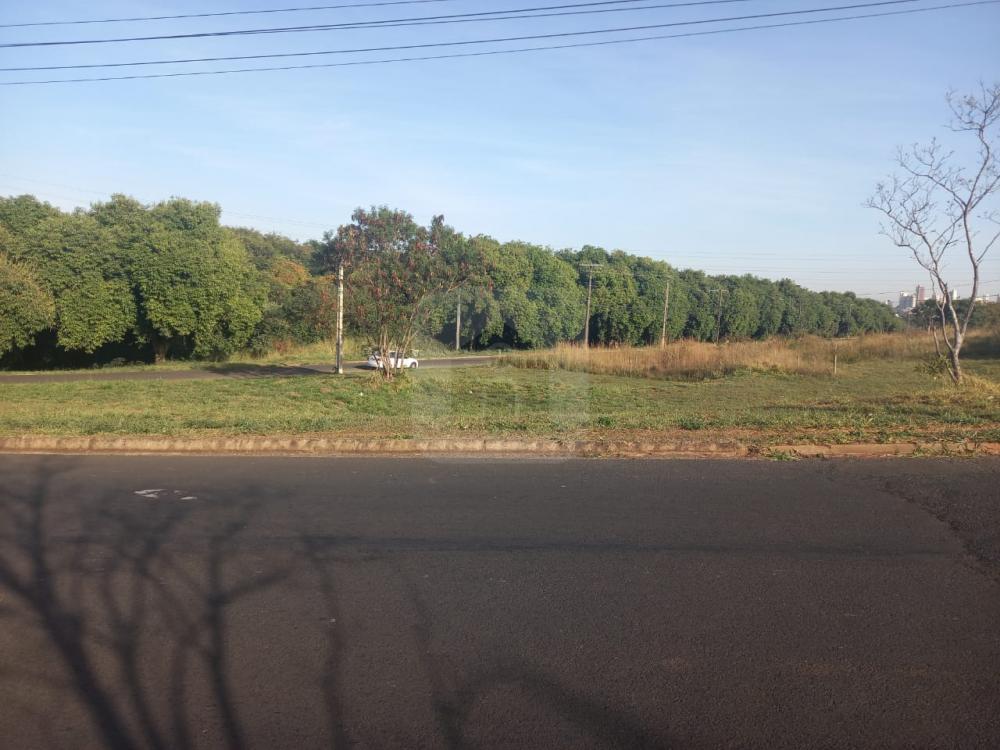 Comprar Terreno / Padrão em Uberlândia R$ 350.000,00 - Foto 5