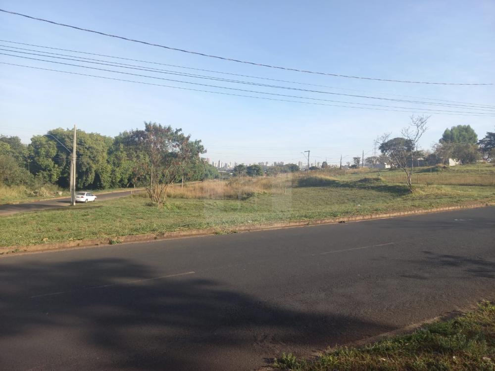 Comprar Terreno / Padrão em Uberlândia R$ 350.000,00 - Foto 6