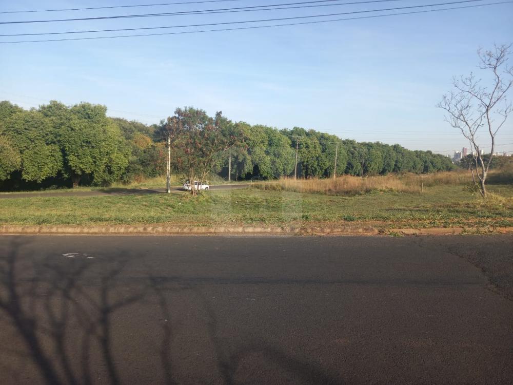Comprar Terreno / Padrão em Uberlândia R$ 350.000,00 - Foto 7