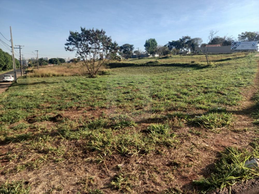 Comprar Terreno / Padrão em Uberlândia R$ 350.000,00 - Foto 10
