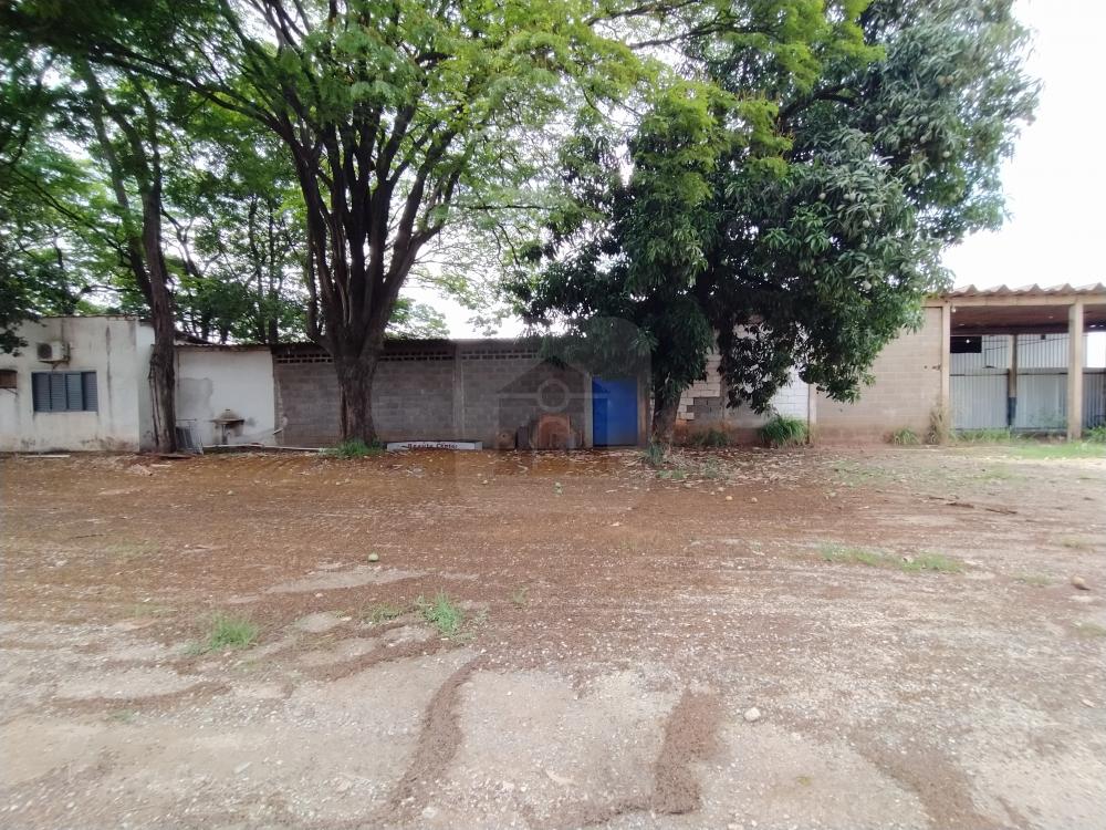 Alugar Comercial / Galpão em Uberlândia R$ 14.000,00 - Foto 29