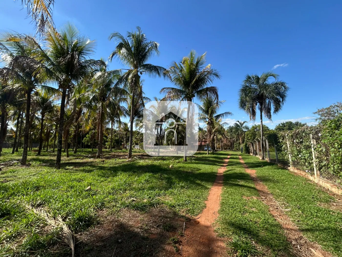 Alugar Rural / Chácara em Uberlândia R$ 3.000,00 - Foto 1