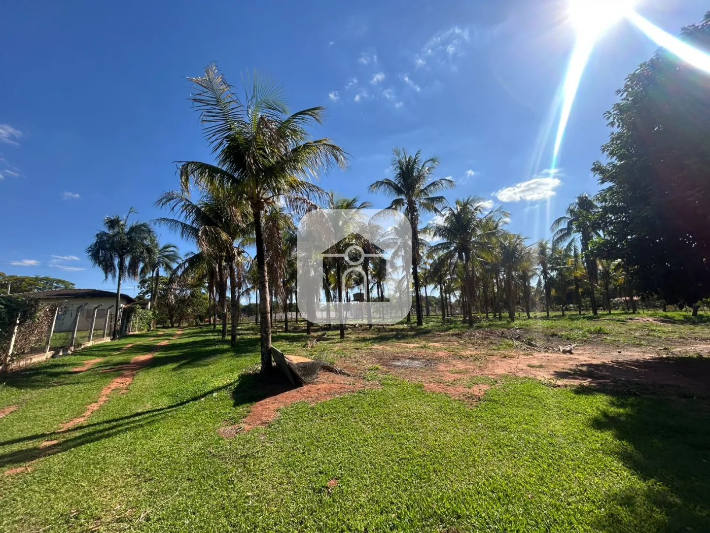 Alugar Rural / Chácara em Uberlândia R$ 3.000,00 - Foto 3