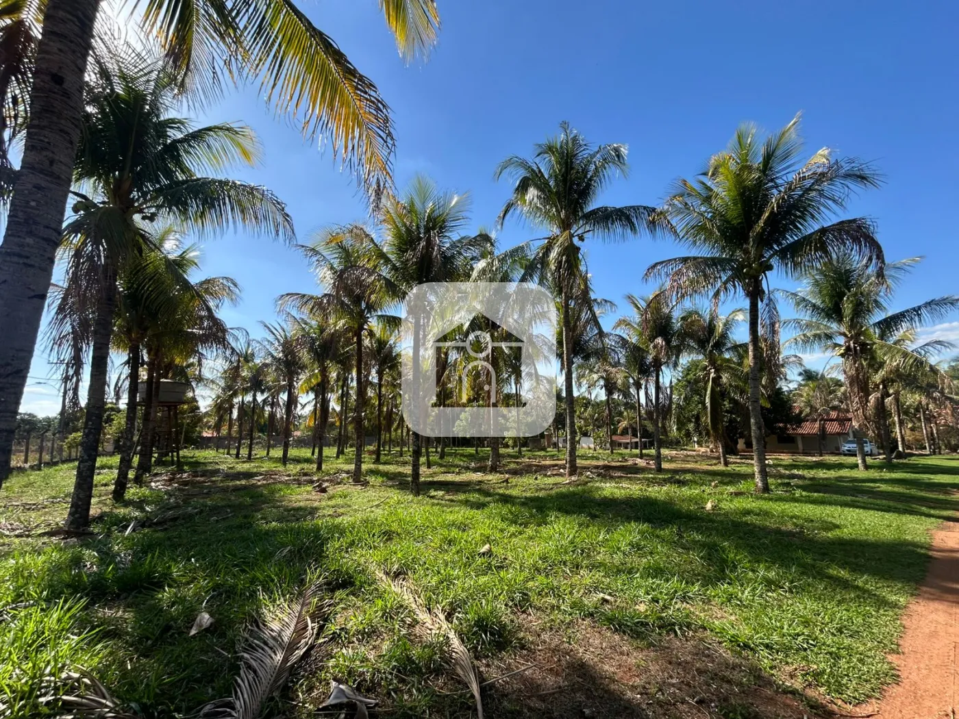 Alugar Rural / Chácara em Uberlândia R$ 3.000,00 - Foto 4