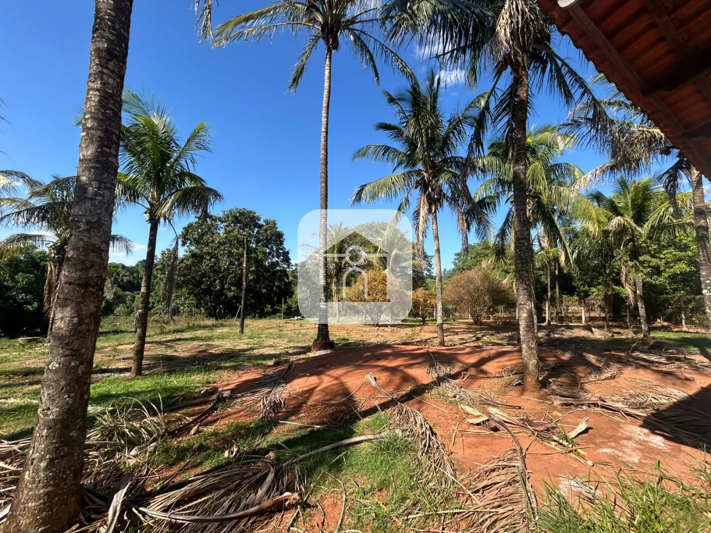 Alugar Rural / Chácara em Uberlândia R$ 3.000,00 - Foto 14