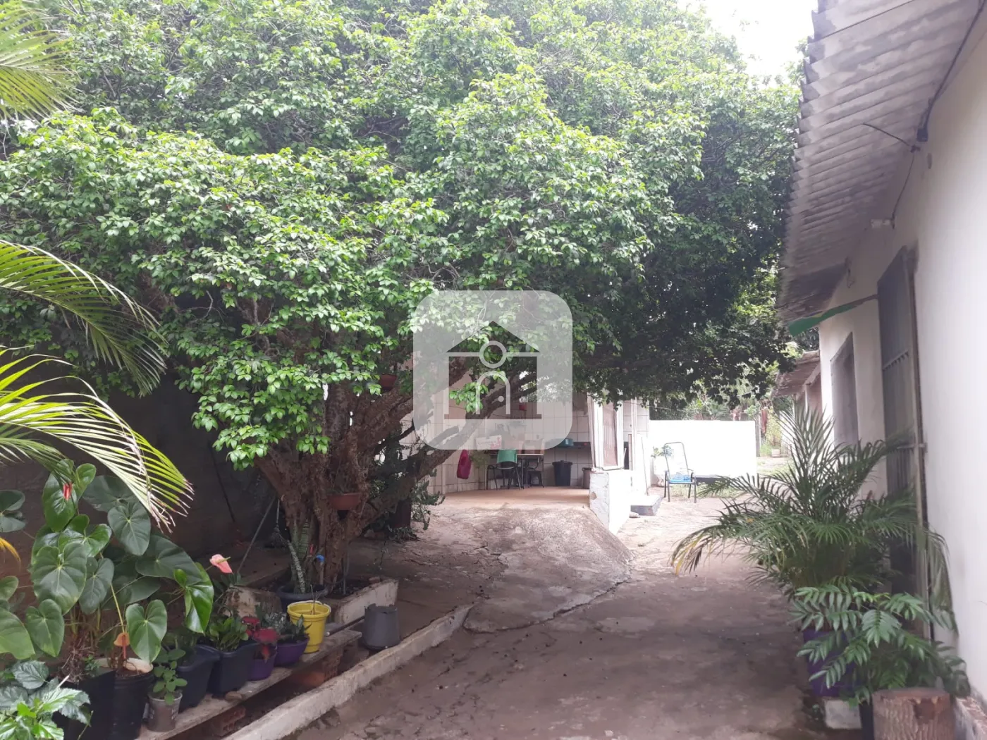 Comprar Casa / Padrão em Uberlândia R$ 450.000,00 - Foto 14