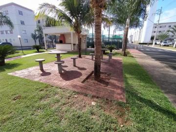 Apartamento para locação bairro Shopping Park
