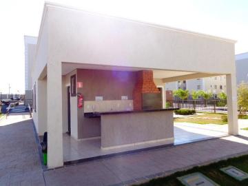 imagem 4 - Apartamento para locação no bairro Shopping Park imagem 4 - Apartamento para locação no bairro Shopping Park