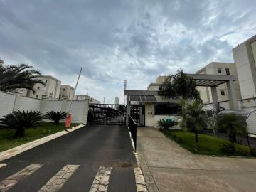 imagem 1 - Apartamento Para Locação No Bairro Laranjeiras imagem 1 - Apartamento Para Locação No Bairro Laranjeiras