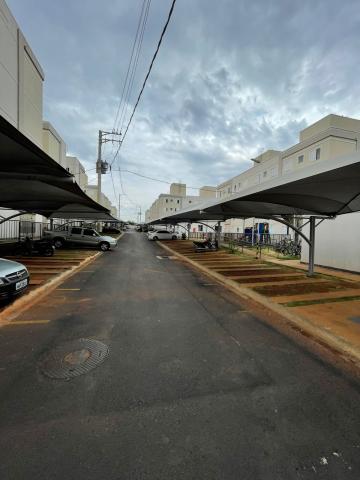 imagem 3 - Apartamento Para Locação No Bairro Laranjeiras imagem 3 - Apartamento Para Locação No Bairro Laranjeiras