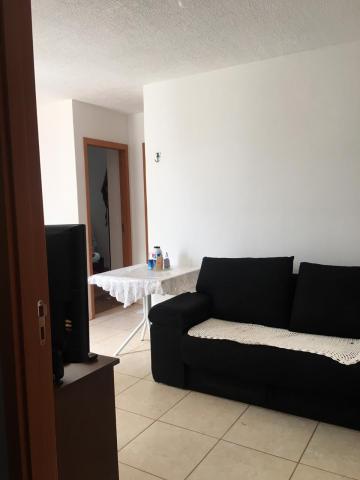 imagem 1 - Apartamento para venda no Bairro Shopping Park. imagem 1 - Apartamento para venda no Bairro Shopping Park.