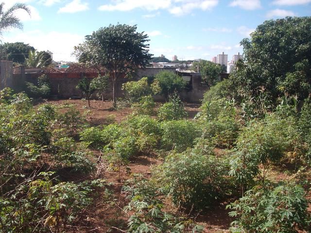 imagem 1 - Terreno - Padrão imagem 1 - Terreno - Padrão