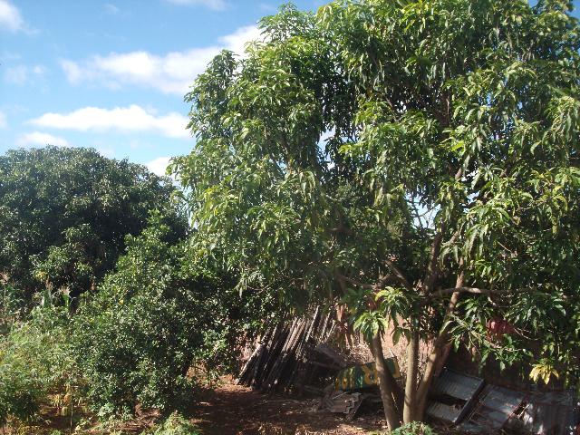 imagem 2 - Terreno - Padrão imagem 2 - Terreno - Padrão