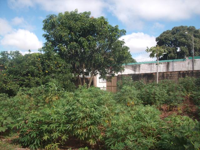 imagem 4 - Terreno - Padrão imagem 4 - Terreno - Padrão