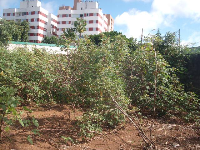 imagem 5 - Terreno - Padrão imagem 5 - Terreno - Padrão