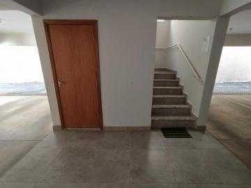 imagem 3 - Apartamento para locação- Vendas bairro Martins imagem 3 - Apartamento para locação- Vendas bairro Martins