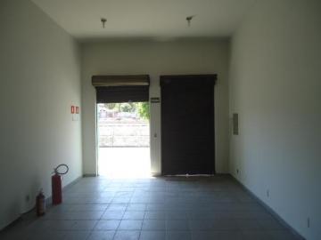 imagem 3 - Cômodo comercial para locação bairro Bom Jesus imagem 3 - Cômodo comercial para locação bairro Bom Jesus