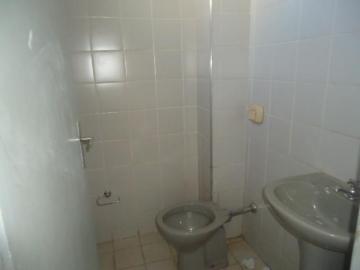 imagem 4 - Cômodo comercial para locação bairro Bom Jesus imagem 4 - Cômodo comercial para locação bairro Bom Jesus