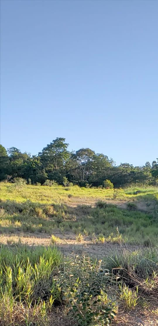 imagem 3 - Terreno - Área imagem 3 - Terreno - Área