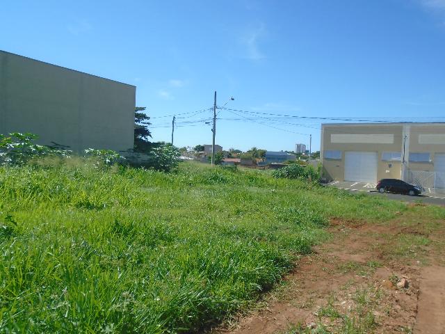 imagem 5 - Terreno - Padrão imagem 5 - Terreno - Padrão