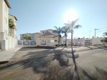 imagem 3 - Apartamento para locação bairro Alto Umuarama imagem 3 - Apartamento para locação bairro Alto Umuarama