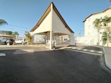 imagem 5 - Apartamento para locação bairro Alto Umuarama imagem 5 - Apartamento para locação bairro Alto Umuarama