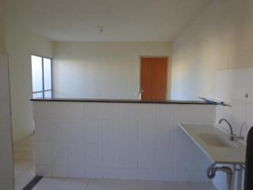 imagem 5 - Apartamento para locação bairro Jardim Europa imagem 5 - Apartamento para locação bairro Jardim Europa