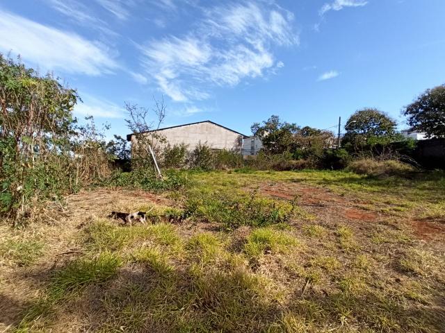 imagem 3 - Comercial - Barracão imagem 3 - Comercial - Barracão