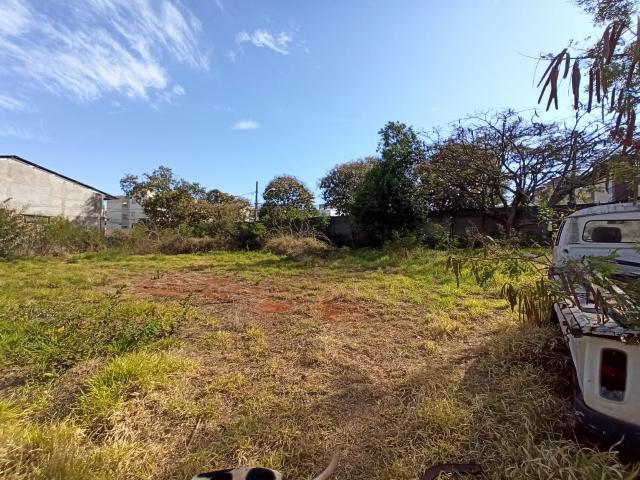 imagem 4 - Comercial - Barracão imagem 4 - Comercial - Barracão