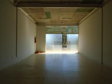 imagem 4 - Comercial - Loja imagem 4 - Comercial - Loja