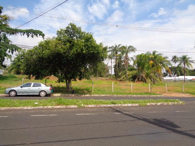 imagem 1 - Terreno - Padrão imagem 1 - Terreno - Padrão