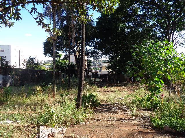 imagem 3 - Terreno - Área imagem 3 - Terreno - Área