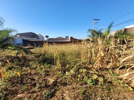 imagem 3 - Terreno - Padrão imagem 3 - Terreno - Padrão