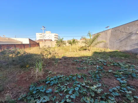 imagem 2 - Terreno - Padrão imagem 2 - Terreno - Padrão