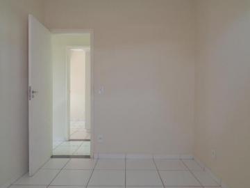 imagem 4 - Apartamento Para Venda No Bairro Vigilato Pereira imagem 4 - Apartamento Para Venda No Bairro Vigilato Pereira