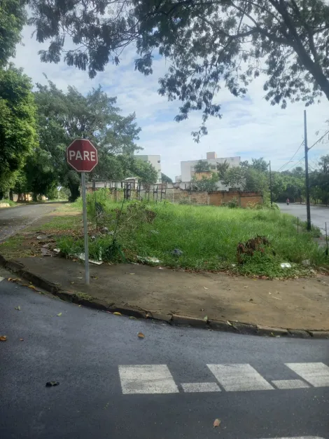 imagem 4 - Três Terrenos Para Venda B. Santa Luzia Em Uberlândia imagem 4 - Três Terrenos Para Venda B. Santa Luzia Em Uberlândia