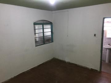 imagem 2 - Colónia Para Venda No Bairro Laranjeiras imagem 2 - Colónia Para Venda No Bairro Laranjeiras