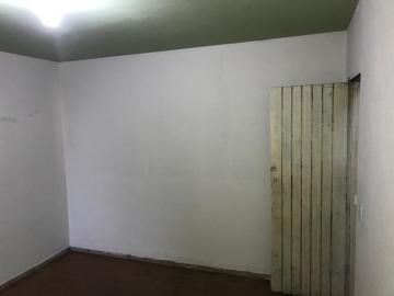 imagem 3 - Colónia Para Venda No Bairro Laranjeiras imagem 3 - Colónia Para Venda No Bairro Laranjeiras