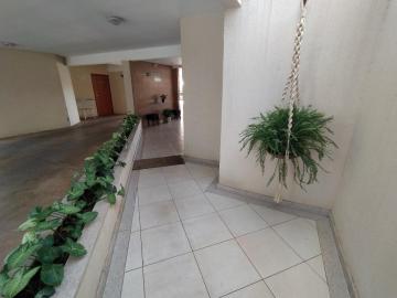 imagem 4 - Apartamento para locação no Saraiva imagem 4 - Apartamento para locação no Saraiva