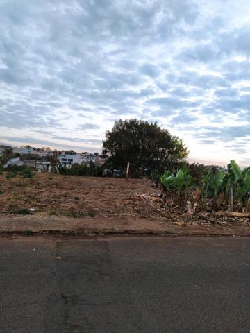 imagem 1 - Terreno à venda no Bairro Vigilato Pereira imagem 1 - Terreno à venda no Bairro Vigilato Pereira