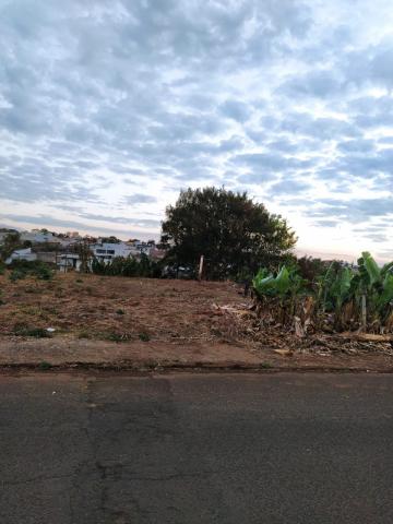 Terreno à venda no Bairro Vigilato Pereira