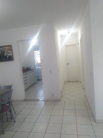 imagem 4 - Apartamento - Padrão imagem 4 - Apartamento - Padrão