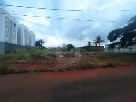 imagem 2 - Terreno Para Venda No Bairro Aclimação imagem 2 - Terreno Para Venda No Bairro Aclimação