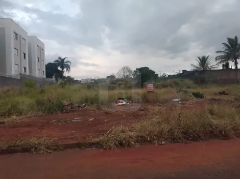 imagem 3 - Terreno Para Venda No Bairro Aclimação imagem 3 - Terreno Para Venda No Bairro Aclimação