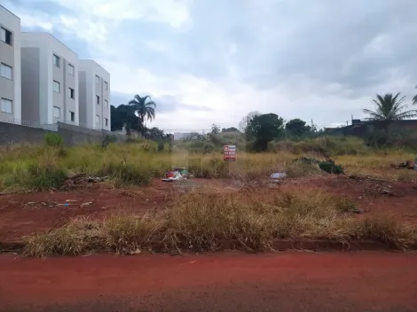 imagem 4 - Terreno Para Venda No Bairro Aclimação imagem 4 - Terreno Para Venda No Bairro Aclimação